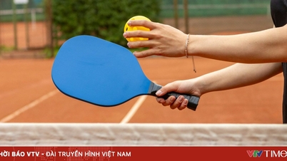 A pickleball ütők heves versenyt váltottak ki a nagyvállalatok között.