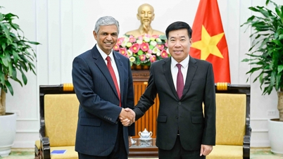 Member of the Central Committee of the Communist Party of Vietnam, Deputy Minister of Foreign Affairs Nguyen Manh Cuong receives the Deputy Minister of Foreign Affairs of India.