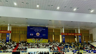 수천 명의 무술가들이 하노이 오픈 태권도 축제에서 경쟁을 펼칩니다.
