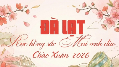ទីក្រុងដាឡាត ពោរពេញដោយពណ៌ផ្កាឈូកស្រស់បំព្រងនៃផ្កាសាគូរ៉ា ដើម្បីស្វាគមន៍រដូវផ្ការីកឆ្នាំ ២០២៦។