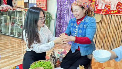 ຜູ້ປົກປ້ອງວັດທະນະທໍາໄທທ່າມກາງປ່າໄມ້ອັນກວ້າງໃຫຍ່ໄພສານ.