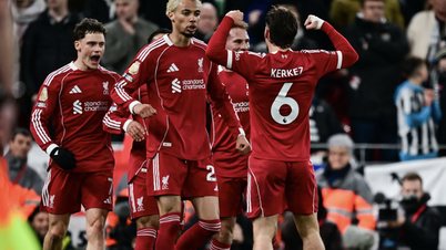 El Liverpool remontó para vencer al Newcastle en Anfield.