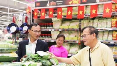 E-commerce: Bringing Vietnamese goods into international distribution chains.