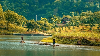 Nghệ An thu hơn 356 tỷ đồng từ giảm phát thải rừng