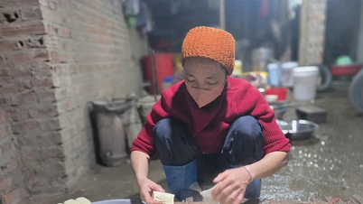 Tofu de Tartaruga Tuan Chinh: Capturando o sabor de casa em cada mordida.