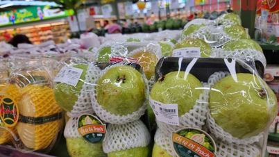 Barcode - Monitoring goods in circulation