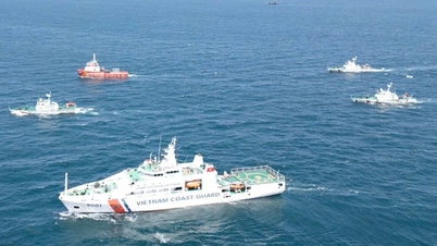 Đấu tranh quyết liệt với tội phạm trên biển