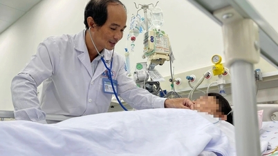 ازداد عدد حالات الإصابة بحمى الضنك والوفيات الناجمة عنها بشكل ملحوظ.