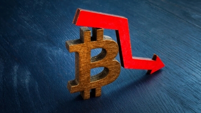 Bitcoin anjlok di bawah $80.000: $2,5 miliar lenyap, aktivitas perburuan harga murah muncul.