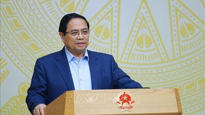 Le Premier ministre a présidé la réunion du Comité de pilotage pour la mise en œuvre de la résolution sur le développement de l'économie publique.