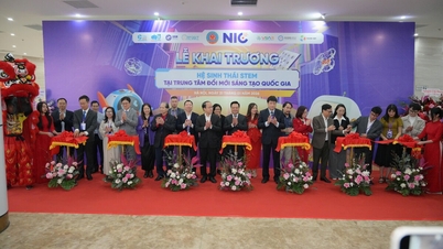 ເທັກໂນໂລຢີ 1/2: NIC ດຳເນີນງານລະບົບນິເວດ STEM ໃໝ່