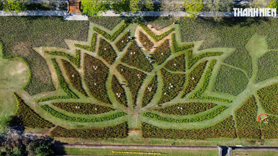 Bewonder de gigantische lotusbloem, gemaakt van 50.000 potplanten, die prachtig bloeit naast de citadel van Hue.