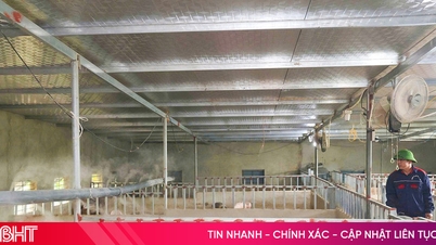 Biosecure livestock farming – a line of defense against the "storm" of African swine fever.