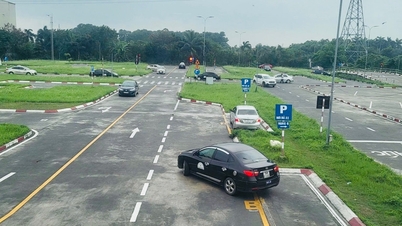 Improving the quality of training and testing for driver's license issuance.