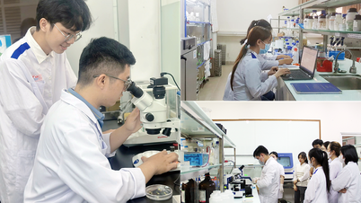 Universitatea Duy Tan oferă cursuri de asistență medicală, tehnologie de laborator medical și inginerie biomedicală.