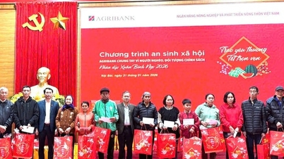 노이바이에서 따뜻한 나눔의 봄을 맞이하세요.