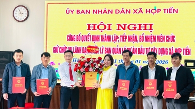Mettre en place des comités de gestion de projet pour les projets d'investissement dans la construction dans 24 communes et quartiers comptant de nombreux projets de grande envergure à Hai Phong.
