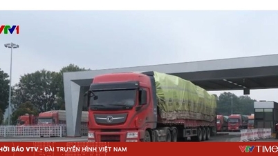 A mezőgazdasági termékek importját akadályozó tényezők felszámolása.