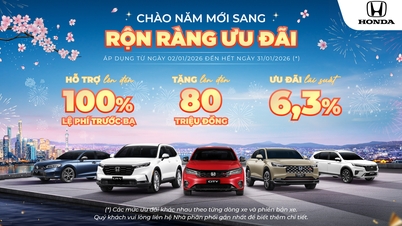 Selamat Tahun Baru – tawaran menarik menanti anda!