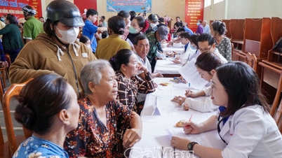 कैन थो शहर के युवा डॉक्टर वसंत ऋतु के दौरान दात मुई में स्वयंसेवा करते हैं।