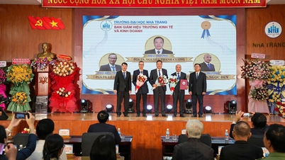 A Universidade de Nha Trang estabeleceu escolas especializadas sob sua gestão direta.