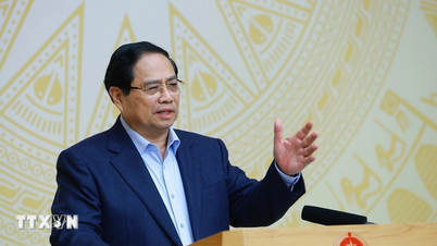 प्रधानमंत्री फाम मिन्ह चिन्ह: संकल्प 79 को लागू करने से दोहरे अंकों की वृद्धि में योगदान मिलता है।