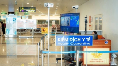 A légiközlekedési ágazat a Nipah-vírus terjedésére válaszul szigorítja a non-stop egészségügyi ellenőrzéseket.