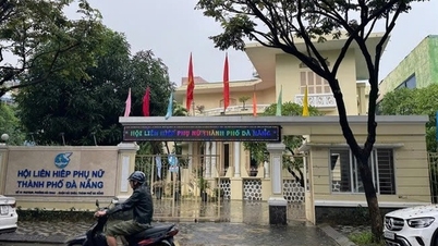 Da Nang ha cedido la Mansión Francesa situada en el número 1 de la calle Pasteur al Museo para su gestión cultural.