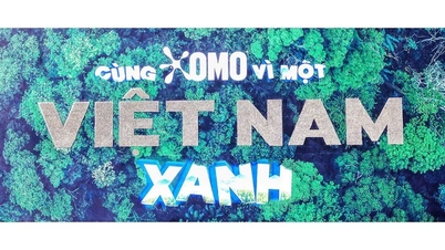 OMO สร้างสถิติโลกกินเนสส์สำหรับการ "เรียงคำว่า 'เวียดนาม' จากก้อนเมล็ดพืชที่ใหญ่ที่สุด"