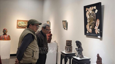 इस प्रदर्शनी में 40 से अधिक कलाकारों द्वारा निर्मित लगभग 100 अनूठी सिरेमिक कलाकृतियाँ प्रदर्शित की गई हैं।