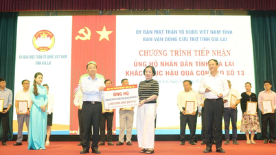 Doanh nhân Nguyễn Thị Sen: Từ thực tiễn kinh doanh đến trách nhiệm xã hội
