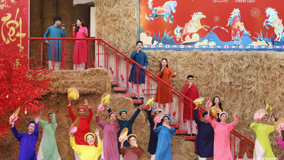 Ho Chi Minh-stad: Een levendig en betekenisvol Vietnamees Tet-festival 2026 (Jaar van het Paard)