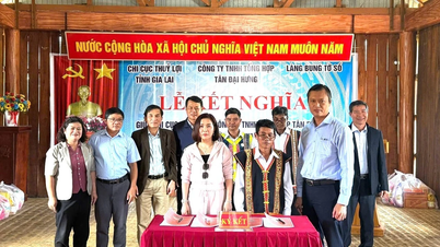 Gia Lai Irrigation Sub-Department establishes a fraternal relationship with Bung To So village.