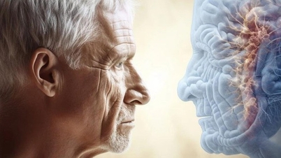 Tác hại của trầm cảm đối với người cao tuổi