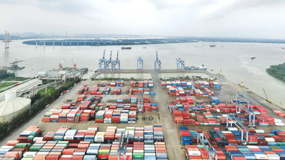 Strategic autonomy - the key to sustainable growth.