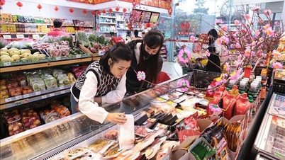 The Prime Minister urged the implementation of tasks to serve the people during the Lunar New Year holiday.