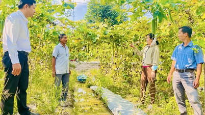 ຜູ້ນຳຈັດຕັ້ງປະຕິບັດຮູບແບບການລະດົມກຳລັງມະຫາຊົນທີ່ປະສົບຜົນສຳເລັດຢ່າງມີປະສິດທິພາບ.