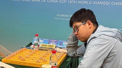 Lima belas pemain catur top Tiongkok diidentifikasi untuk menantang Lai Ly Huynh.