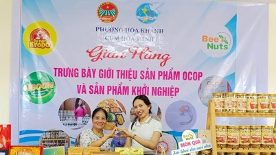 ការលើកទឹកចិត្តសហគ្រិនភាព៖ ហ៊ានគិត ហ៊ានធ្វើសកម្មភាព។