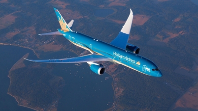 A pesar de sus ingresos récord, ¿por qué están disminuyendo las ganancias de Vietnam Airlines?