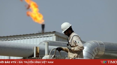 OPEC+는 2026년 1분기 말까지 원유 생산량 증산을 공식적으로 중단했습니다.