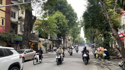 Northern Vietnam experiences drizzle, while Southern Vietnam enjoys sunny weather.