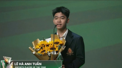 Le Ha Anh Tuan gana un doble título en Esports 2025.