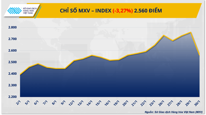 원자재 시장의 힘겨루기 속에서 MXV 지수는 3% 이상 하락했다.