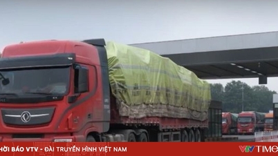 İthal edilen tarım ürünlerinin sınır kapılarındaki yoğunluğu büyük ölçüde çözüldü.