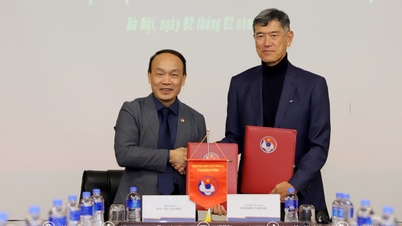 A Federação Vietnamita de Futebol (VFF) renova contrato com diretor técnico japonês, e o futebol vietnamita continua a prosperar.