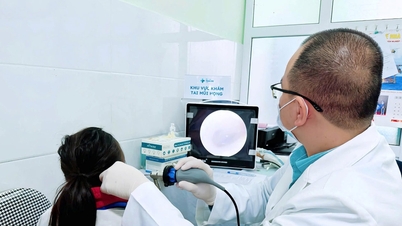 Hoan My Vinh Hospital brings "Spring of Love 2026" to the people of Minh Hop commune.