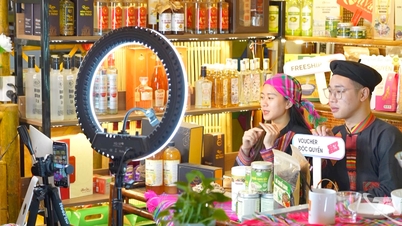 Η Thai Nguyen στοχεύει σε ρυθμό ανάπτυξης 15% ή περισσότερο ετησίως στο εμπόριο και τις υπηρεσίες.