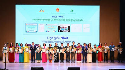 Hanoi, Quang Ninh, and Bac Ninh win the Eco-School Championship.