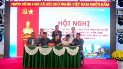 នាវានេសាទជិត ៥០០ គ្រឿងមកពីទីក្រុងដាណាំងបានចុះហត្ថលេខាលើការប្តេជ្ញាចិត្តក្នុងការប្រយុទ្ធប្រឆាំងនឹងការនេសាទខុសច្បាប់ មិនបានរាយការណ៍ និងមិនមានការគ្រប់គ្រង (IUU)។